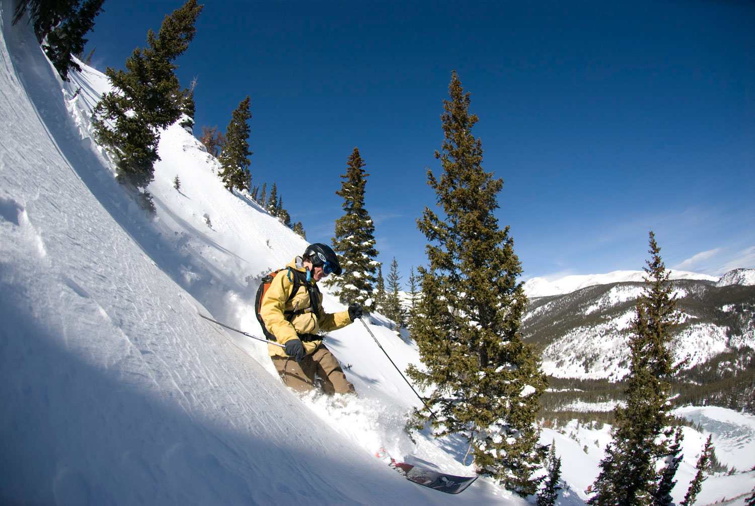 [copp-eldochutes2186_lg.jpg]