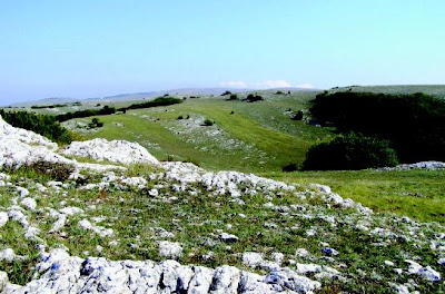 Paveikslėlis