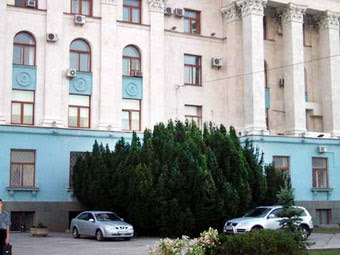 Тис у Совмина Тис у Совмина