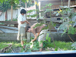 Preparing for the Ointment Production Training