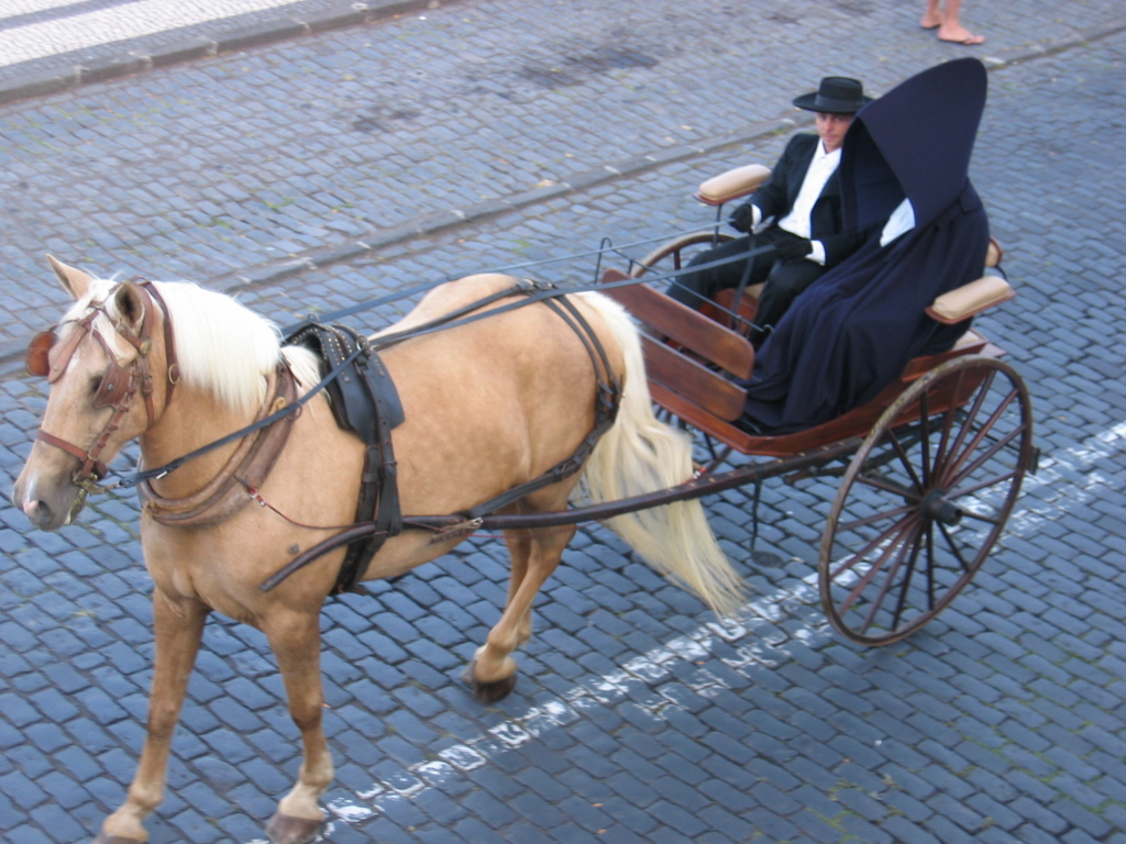 [IMG_0901.JPG]