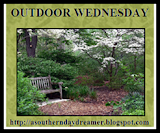 Outdoor Wednesday