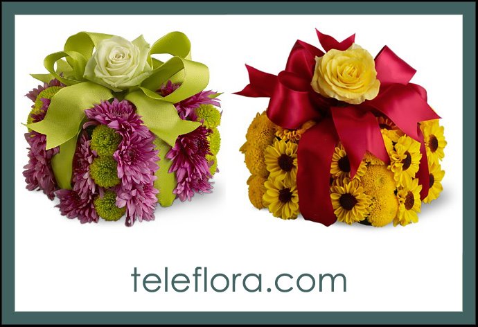 [teleflora.jpg]