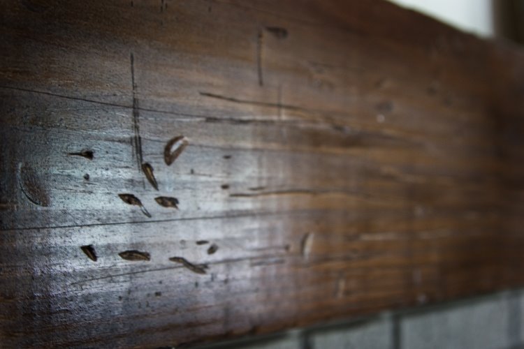 [mantle+Close+up.jpg]
