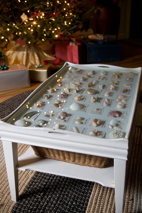 [Shell+Table.jpg]