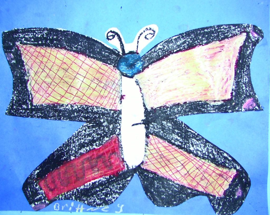 Color me butterfly essay 03 image
