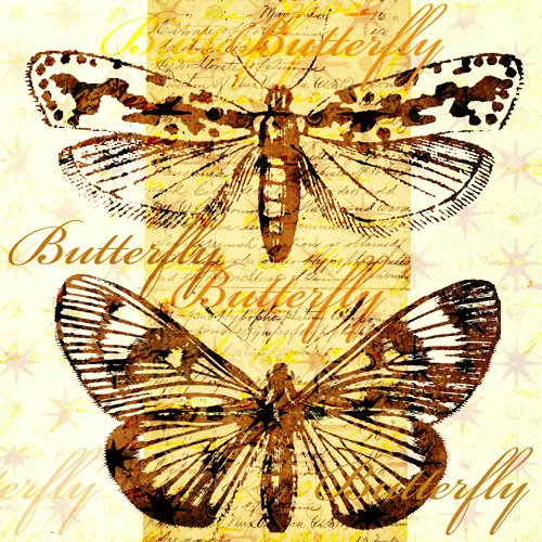 [Butterfly1.jpg]