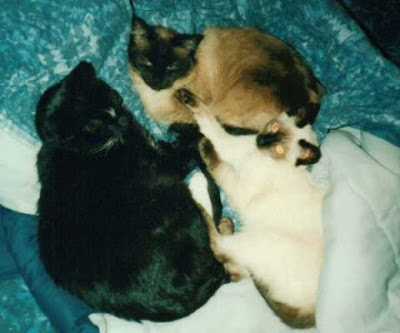 Max, Sabrina and I again.