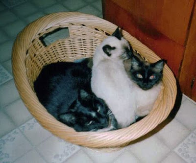 Max, Sabrina and I.