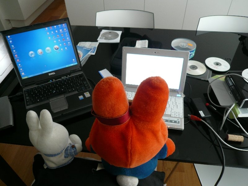 [miffa_and_miffo_computer_activists004.jpg]