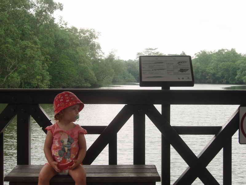 [P8176000.JPG]