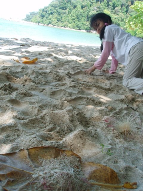 [PA267049.JPG]
