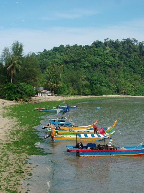 [PA266994.JPG]