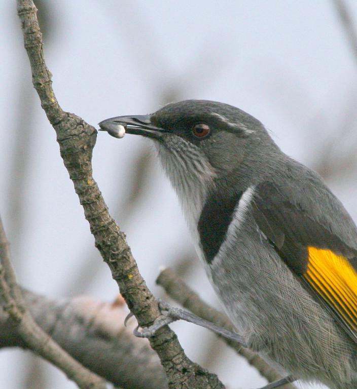 [IMG_4693+(Large).JPG]