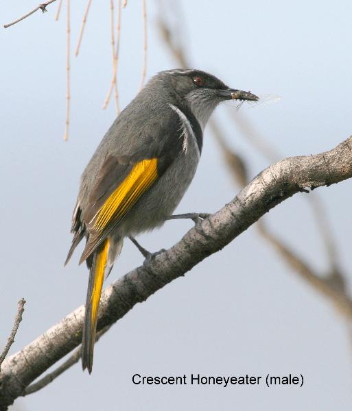 [IMG_4686+(Medium).JPG]