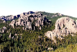 I climbed this
