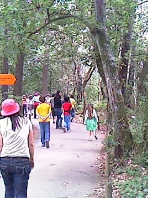 [IMAG0069.JPG]