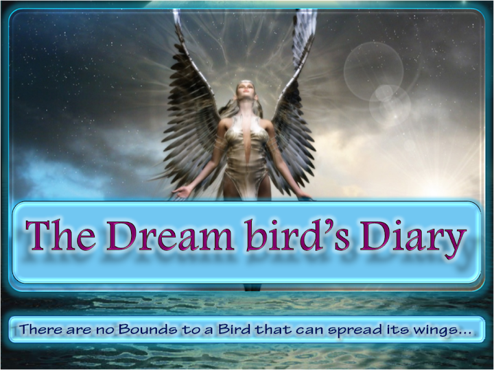 The Dream bird's Diary