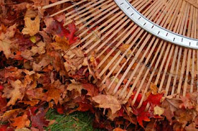 A Big To-Do: November 2009