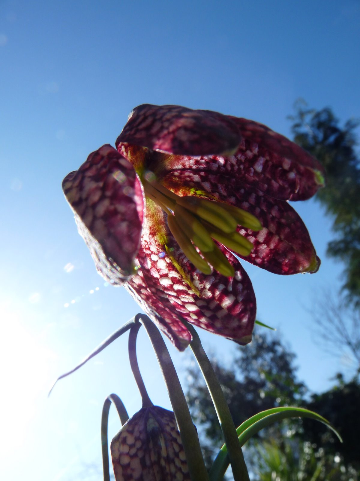 [1 April 2009 008.jpg]