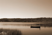 Higgins Pond, Wellfleet