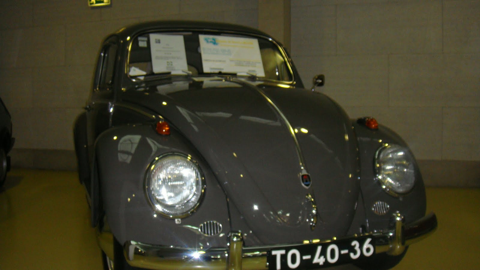 [DSC03091.JPG]