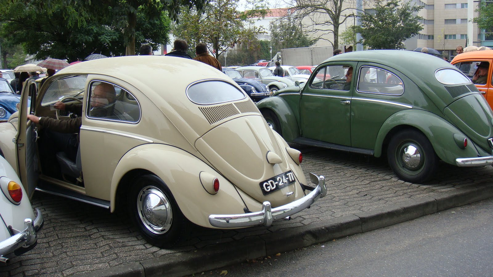 [DSC03328.JPG]