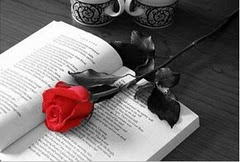 rosa+libro