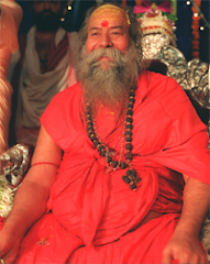 My Guru - H.H. Jagadguru Shankaracharya - Dwarka & Badrinath