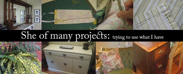 sheofmanyprojects
