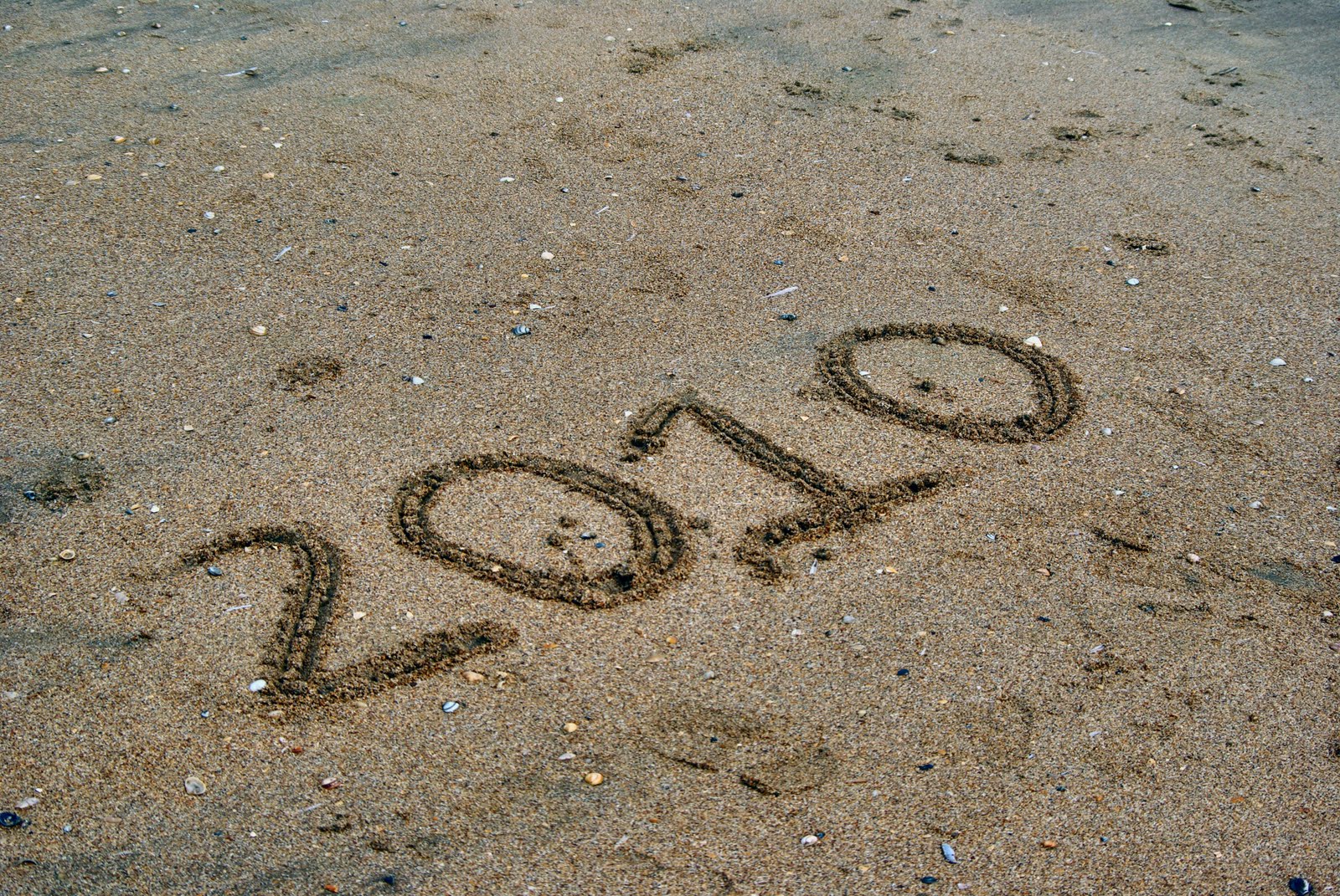 [large_2009_4_280663-full.jpg]