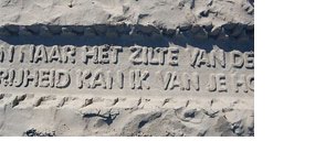 [gedichtvliehors.bmp]