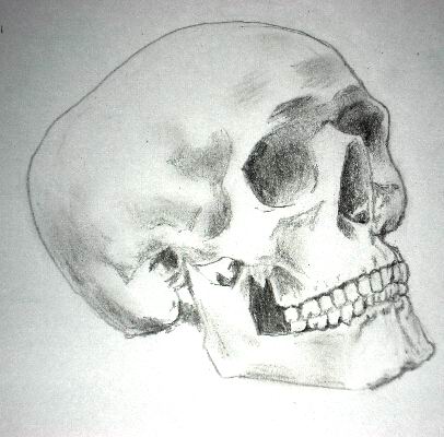How To Draw Skull With Pencil