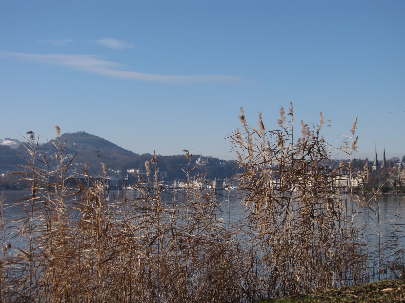 [IMG_2670.JPG]
