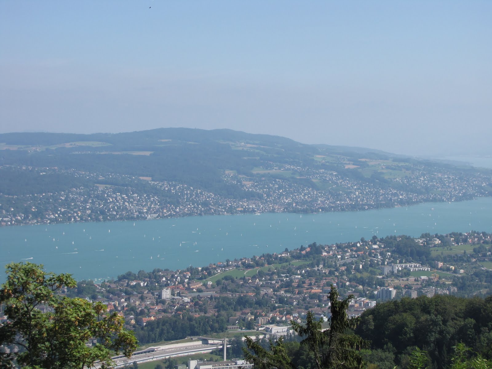 [IMG_1733.JPG]