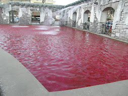 Pink Fountains