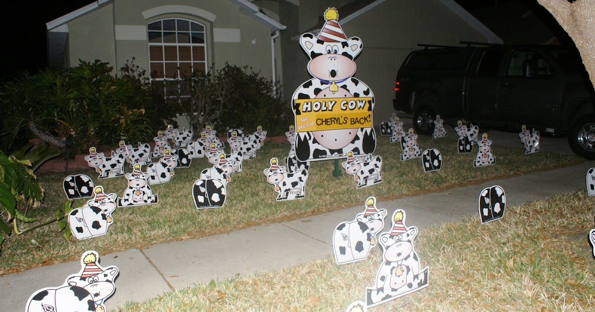 *BIRTHDAY YARD FLOCKING & DECORATIONS* TAMPA, FL CALL TODAY 813777