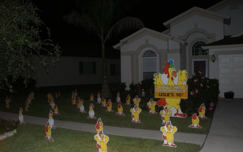 *BIRTHDAY YARD FLOCKING & DECORATIONS* TAMPA, FL CALL TODAY 813777