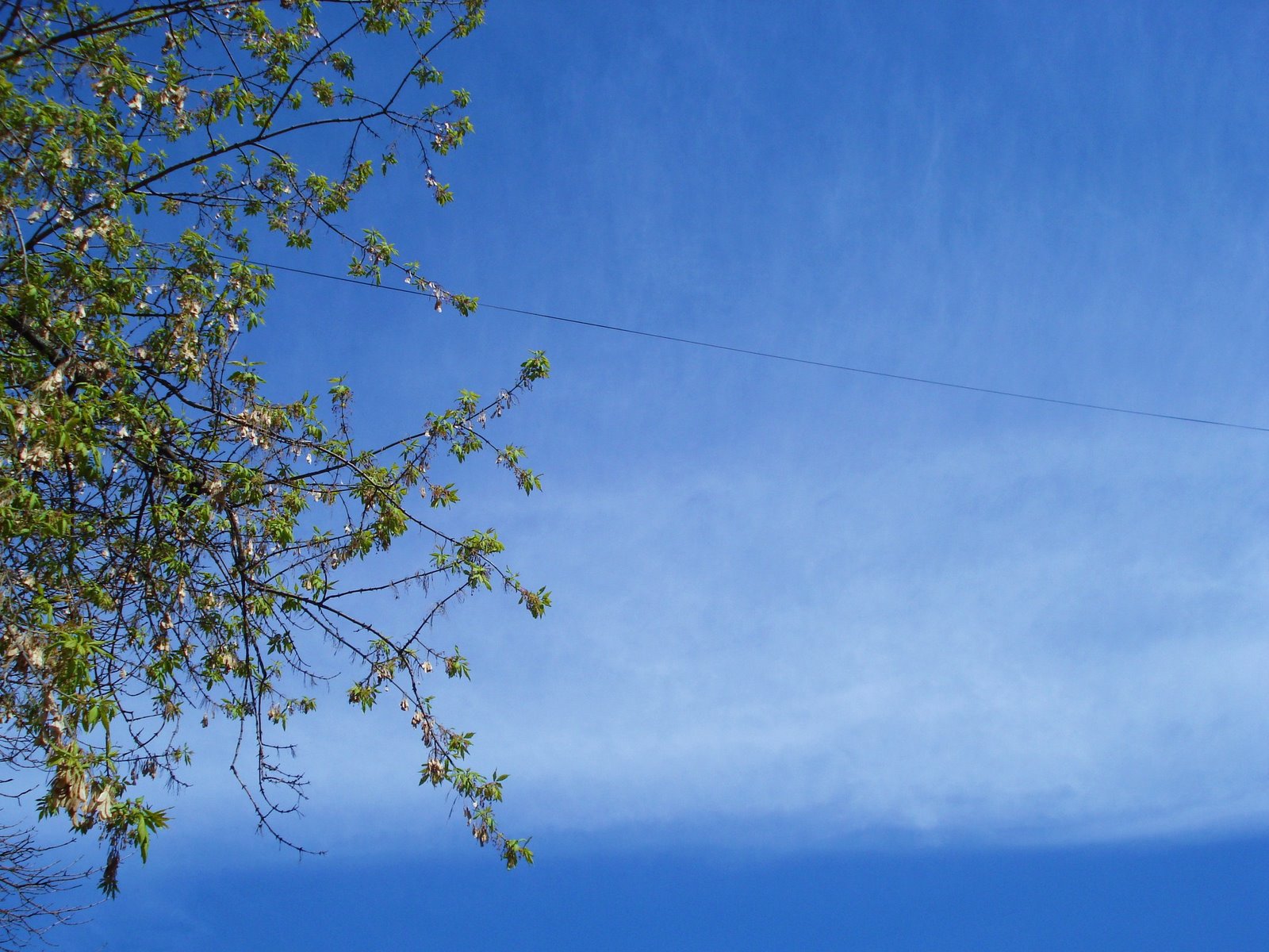 [DSC03184.JPG]