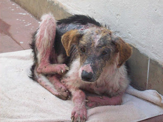 724 Imagenes de Alesha [4/5]