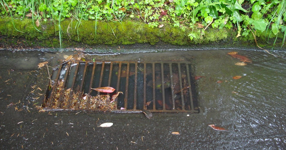 Musings and Wanderings: Storm Drains