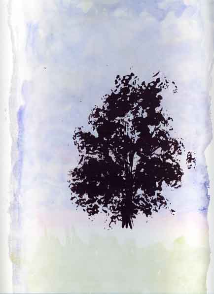 [tree_print_with_wash.jpg]