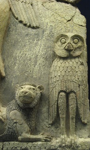 [qotn_owl.jpg]