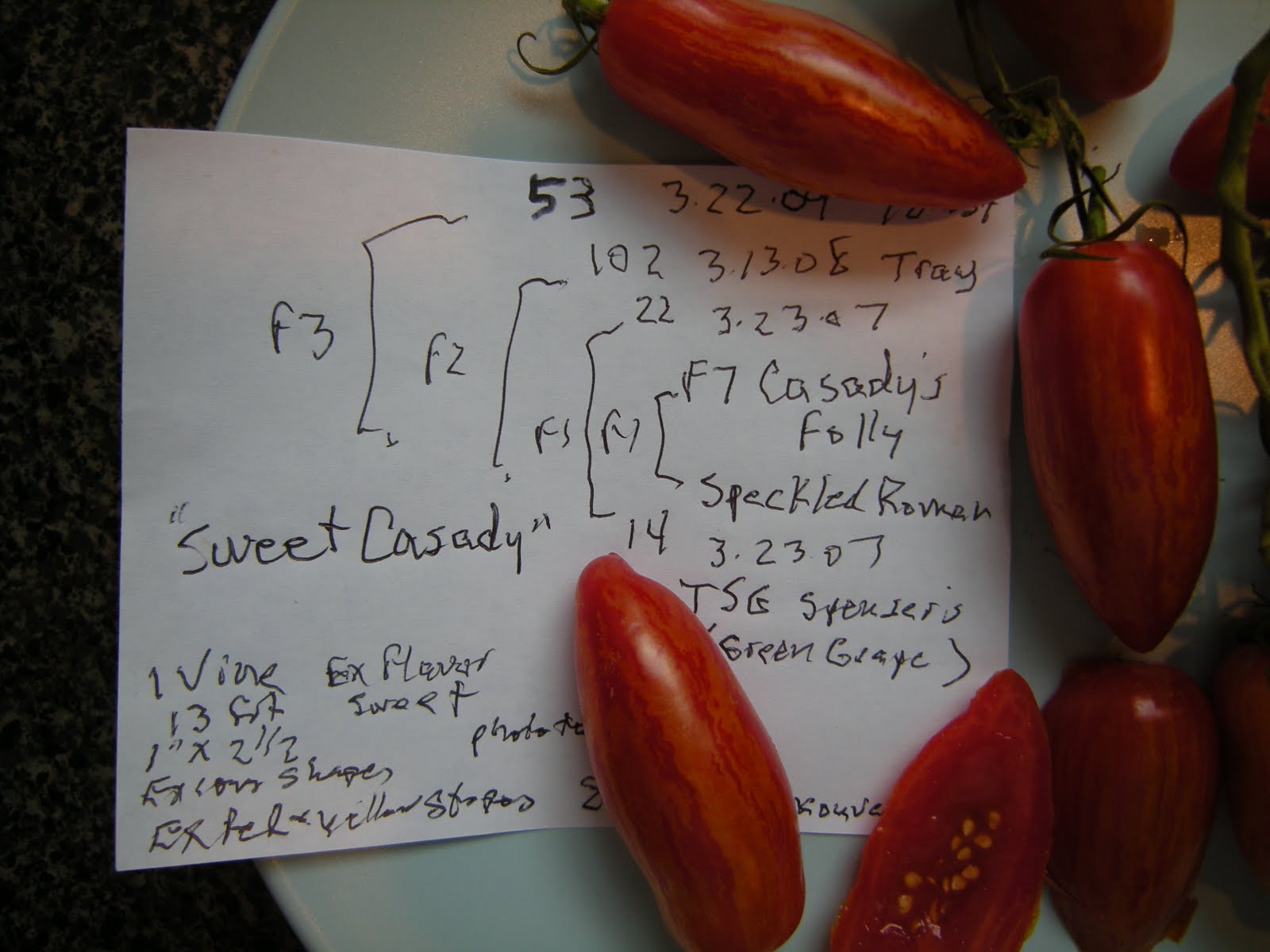 [Sweet+Casady+tomato+002.JPG]