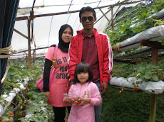 My Sweet Famly