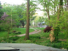Spring on the Farm