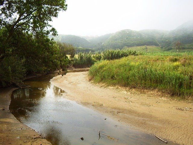 [P6130961.JPG]