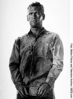 [Post0154-PaulNewmanCoolHandLuke.jpg]