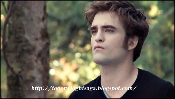 [74474474-df2238ed8a603fef561d45dae106aa5b.4b9bbcd2-scaled[1].jpg]