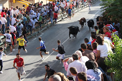 ENCIERROS CALASPARRA 2009